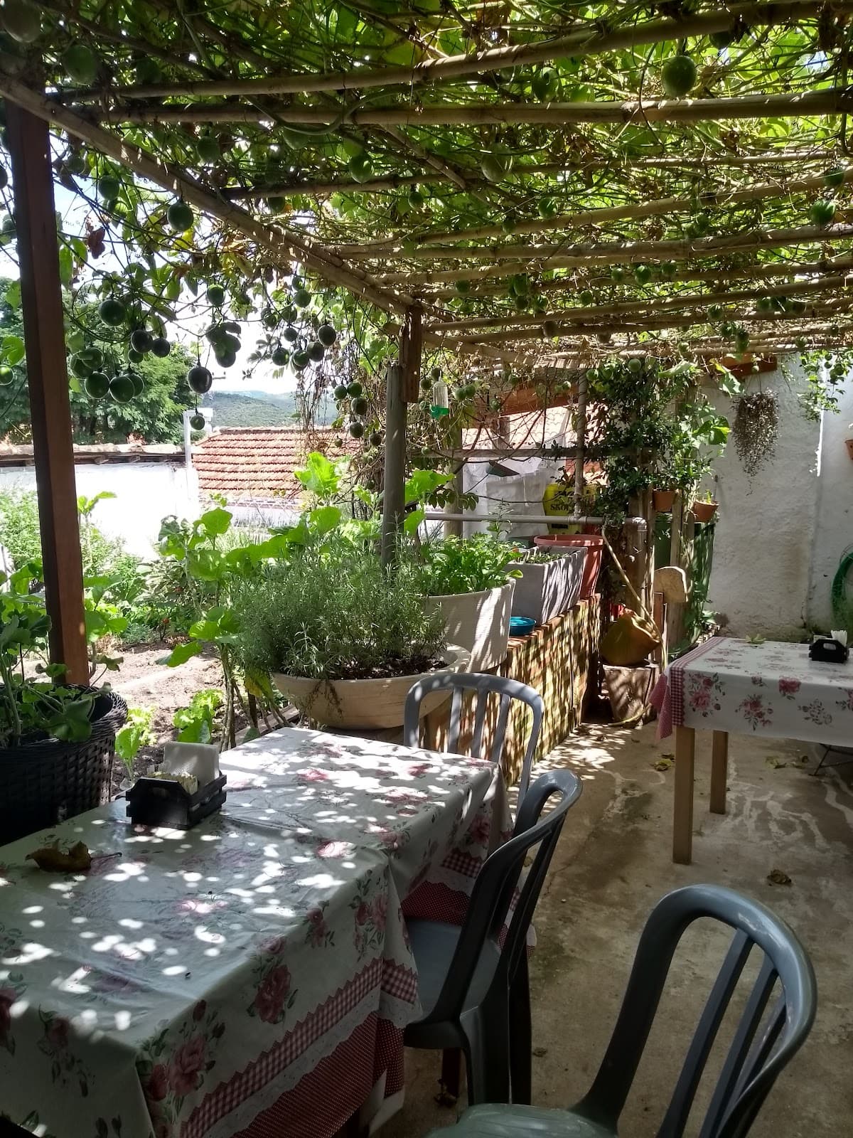 Dona Dita Restaurante