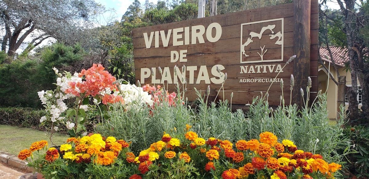 Viveiro Nativa